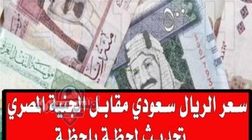 سعر الريال السعودي أمام الجنيه المصري