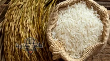 سعر طن الأرز