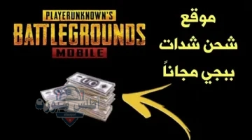 شحن شدات ببجي 2