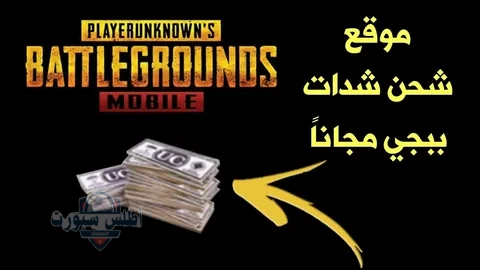 متوقفش لعب ومغامرة .. طريقة شحن شدات ببجي بسرعة البرق من الموقع الرسمي 2 متوقفش لعب ومغامرة .. طريقة شحن شدات ببجي بسرعة البرق من الموقع الرسمي