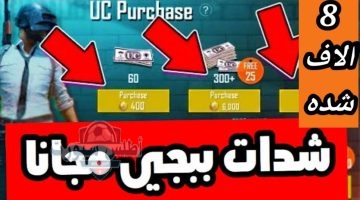 شحن شدات ببجي 3