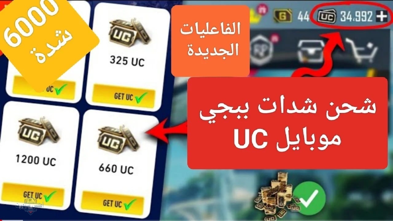 أوعى توقف لعب واشحن الآن .. الطريقة الرسمية لشحن شدات ببجي موبايل 2025 مجانًا 2 أوعى توقف لعب واشحن الآن .. الطريقة الرسمية لشحن شدات ببجي موبايل 2025 مجانًا