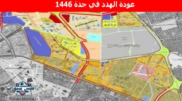 عودة الهدد في جدة 1446