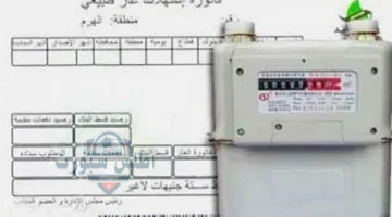 فاتورة غاز بتروتريد