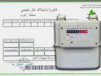 استعلم عن فاتورة غاز بتروتريد مايو 2025 وسددها في ثوانٍ 2 استعلم عن فاتورة غاز بتروتريد مايو 2025 وسددها في ثوانٍ