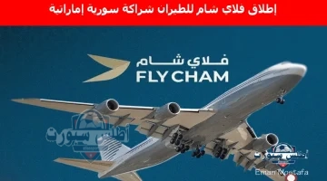فلاي شام للطيران شراكة سورية إماراتية