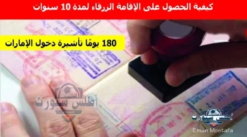 كيفية الحصول على الإقامة الزرقاء لمدة 10 سنوات