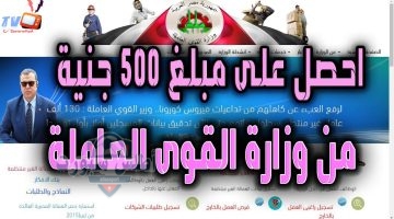 منحة العمالة غير المنتظمة 2