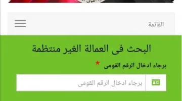 منحة العمالة غير المنتظمة 3