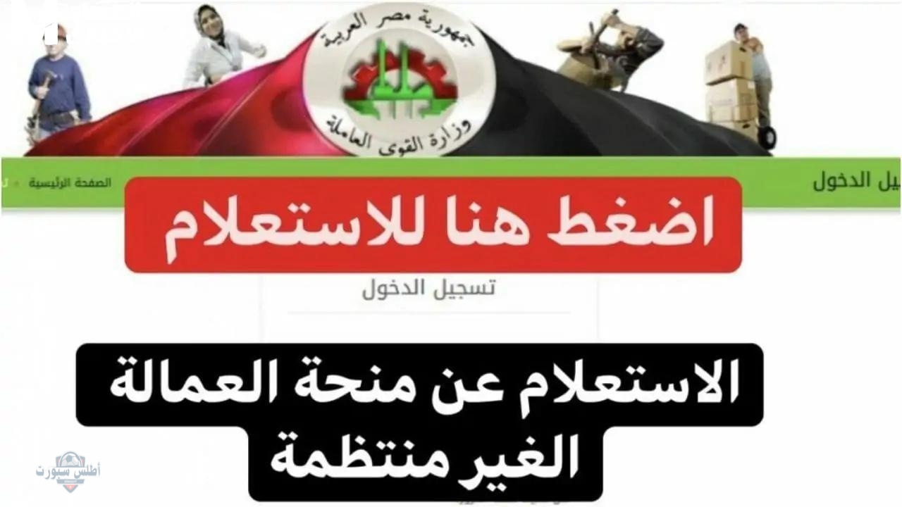 تسجيل منحة العمالة غير المنتظمة 2025 بالرقم القومي عبر موقع وزارة القوى العاملة 2 تسجيل منحة العمالة غير المنتظمة 2025 بالرقم القومي عبر موقع وزارة القوى العاملة
