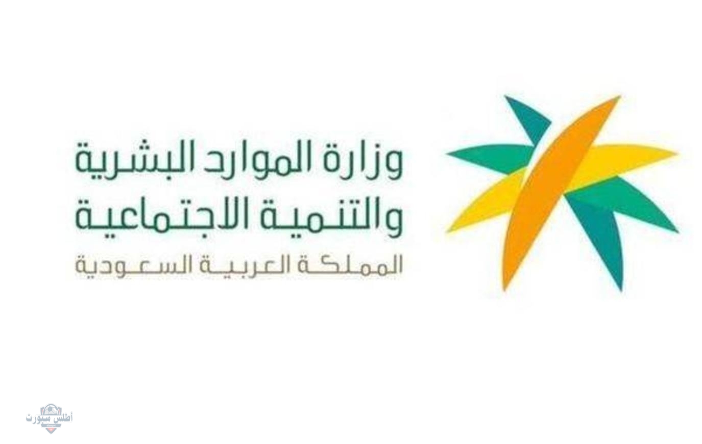 كيفية الاستعلام عن حالة طلب عبر وزارة الموارد البشرية 1446 2 كيفية الاستعلام عن حالة طلب عبر وزارة الموارد البشرية 1446