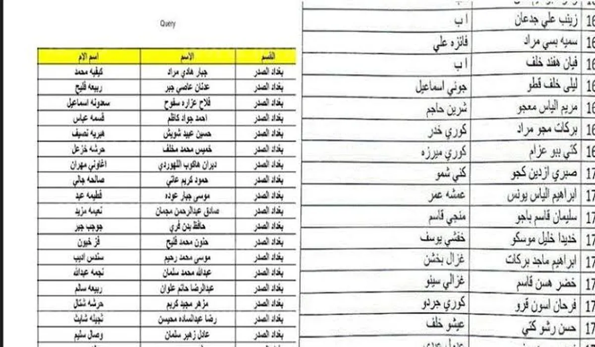 رابط وخطوات الإستعلام أسماء المشمولين في الرعاية الاجتماعية الوجبة الجديدة في العراق