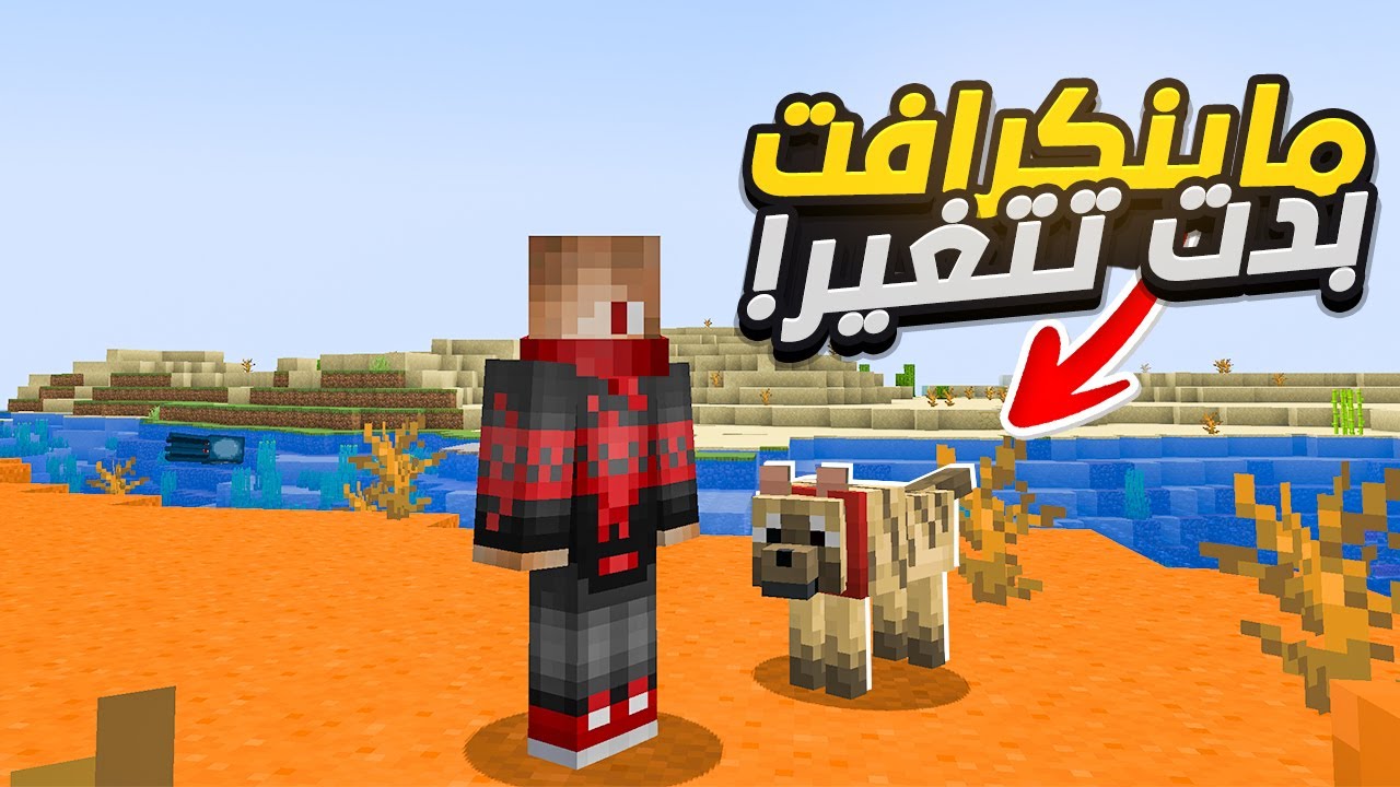 أحدث كلمات سر وأكواد ماين كرافت Minecraft Codes 2025 الجديدة شاطئ الحطام وقرية التايغا