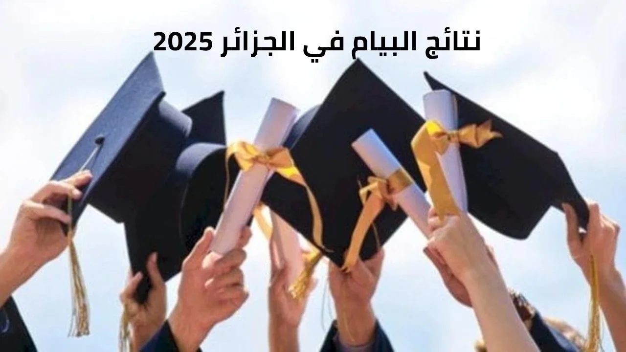 الديوان الوطني للإمتحانات والمسابقات كيفية الاستعلام عن نتائج البيام BEM 2025 بسهولة