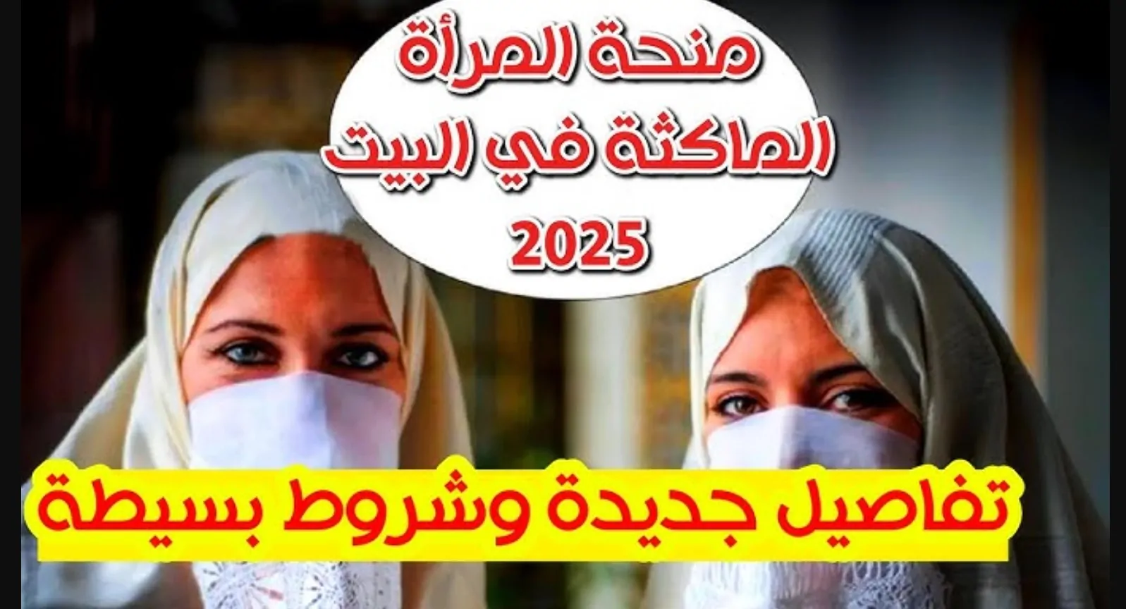 طريقة التسجيل في منحة 800 دينار شهريًا للمرأة الماكثة في البيت بالجزائر لعام 2025