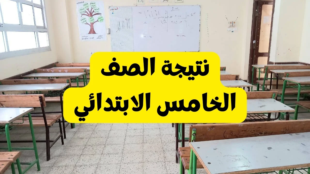 رابط الحصول على نتيجة الصف الخامس الابتدائي بمحافظة الإسكندرية برقم الجلوس