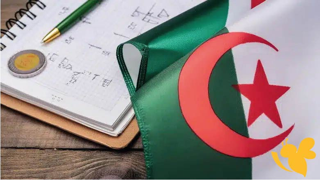 رابط مباشر للاستعلام عن نتائج المراسلة 2025 برقم التسجيل عبر موقع onefd.edu.dz الرسمي.. خطوات استخراج كشف النقاط وموعد ظهور النتائج حسب كل ولاية