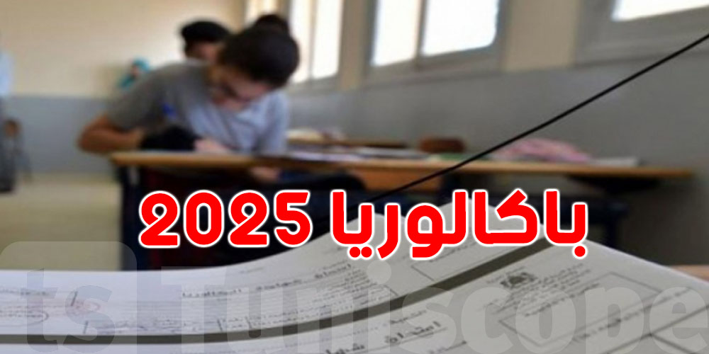 اكتشف طريقة الحصول على نتائج البكالوريا تونس 2025 عبر الإنترنت أو SMS بخطوات بسيطة وسريعة