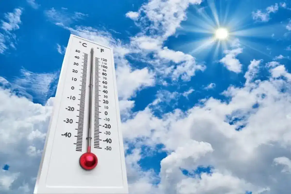 تقرير تفصيلي عن أحوال الطقس في الجزائر.. درجات الحرارة المتوقعة ونسبة الرطوبة وسرعة الرياح في فترات اليوم المختلفة