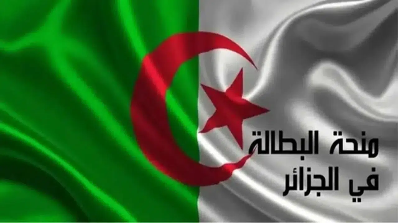 من هاتفك”.. تجديد منحة البطالة 2025 بخطوات بسيطة عبر الوكالة الوطنية للتشغيل وأهم شروط التحديث