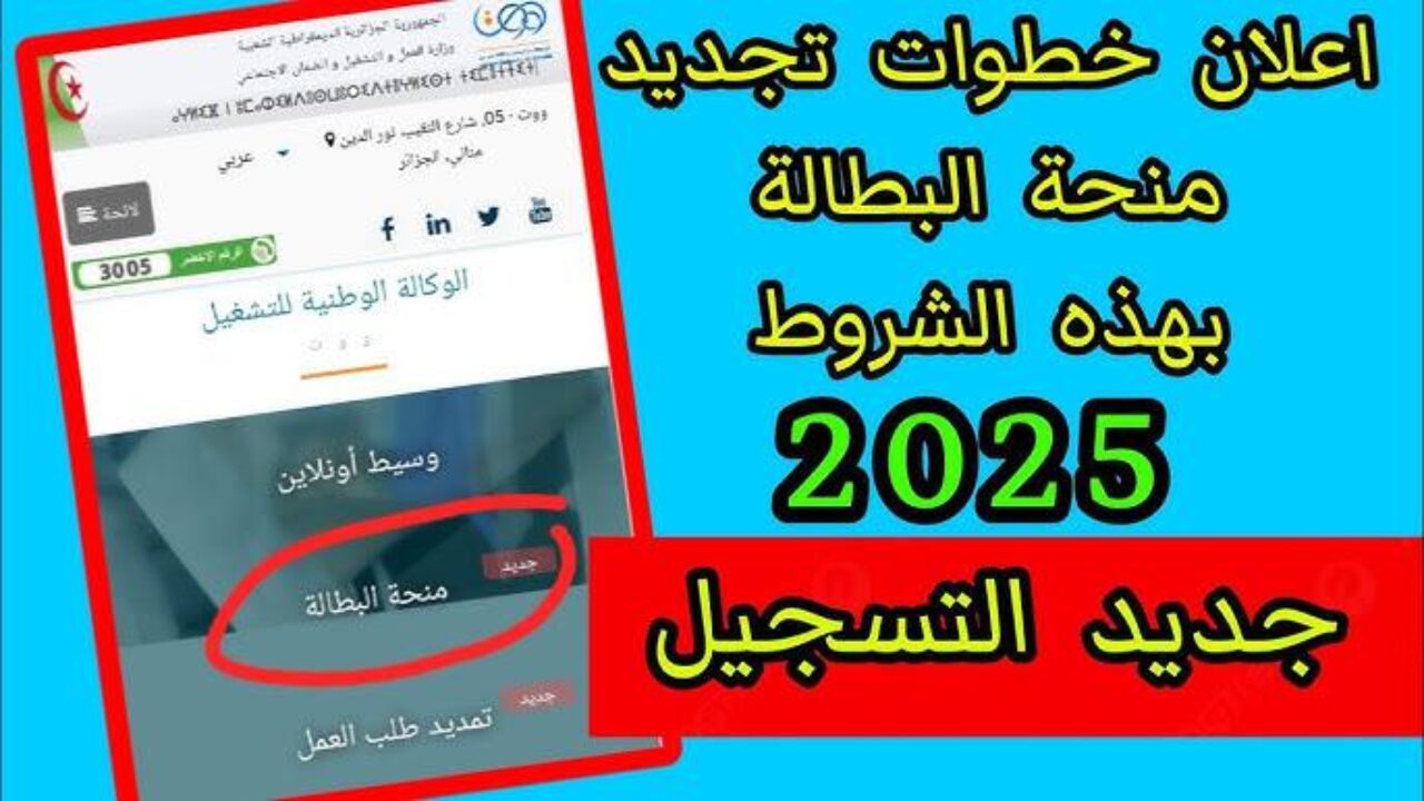 اتباع الخطوات بسهولة… تجديد منحة البطالة 2025 الجزائرية الكترونيا
