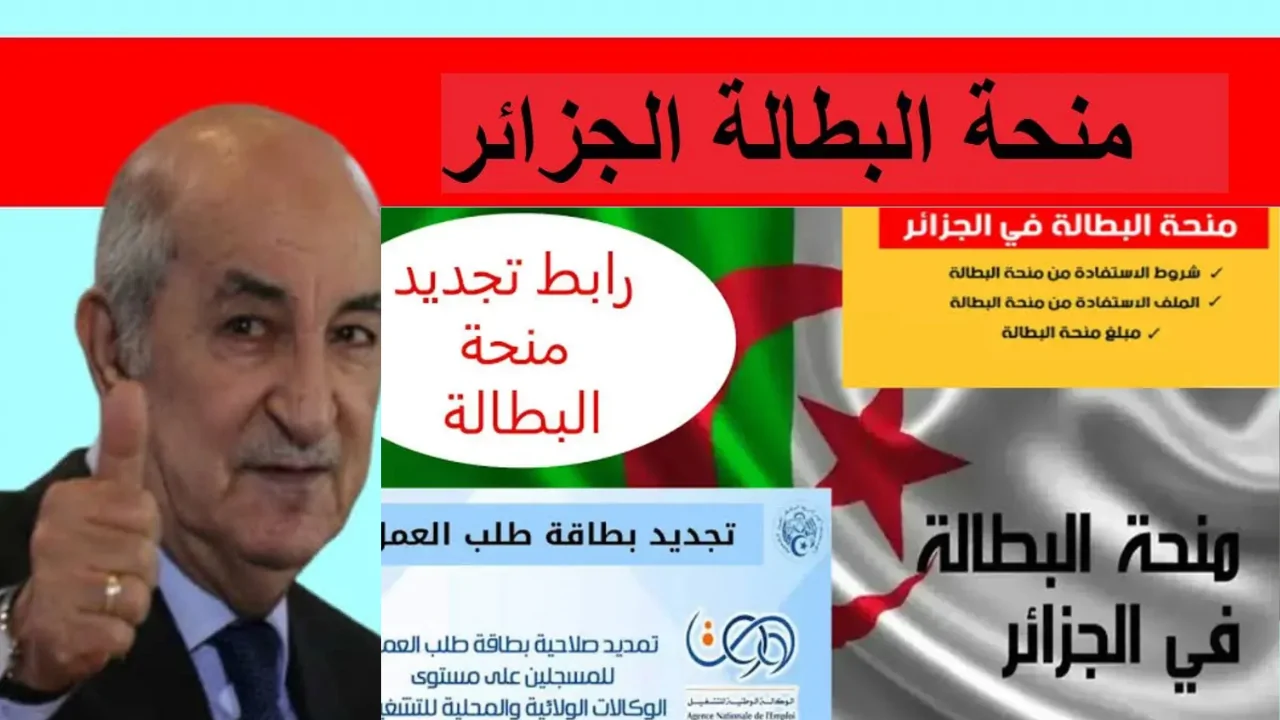 “بخطوات بسيطة” .. كيفية تجديد منحة البطالة 2025 عبر منصة الوكالة الوطنية للتشغيل