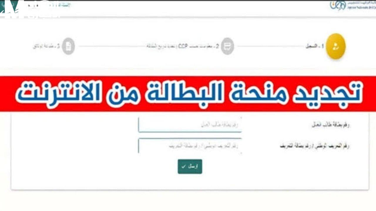 الحكومة الجزائرية تحدد شروط تجديد منحة البطالة 2025 للاستفادة من استمرار الدعم