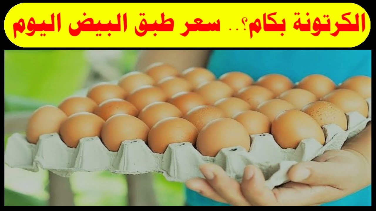 تعرف على سعر كرتونة البيض اليوم الجمعة 4 يوليو 2025 في مصر.. تحديثات بورصة الدواجن