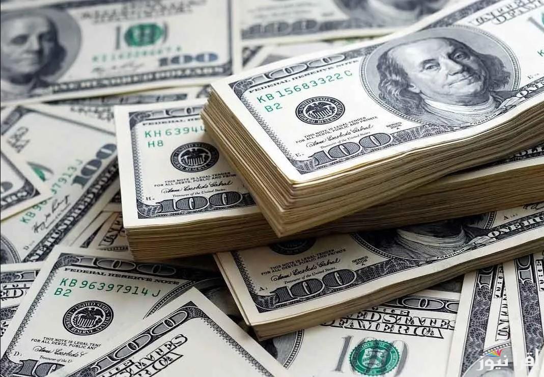 رابط مباشر لحجز مصرف ليبيا 4000 دولار عبر fcms.cbl.gov.ly وخطوات التقديم والشروط
