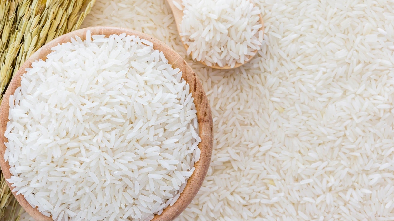 الرز بكام النهاردة… سعر الارز الشعير اليوم في مضارب الأرز والأسواق