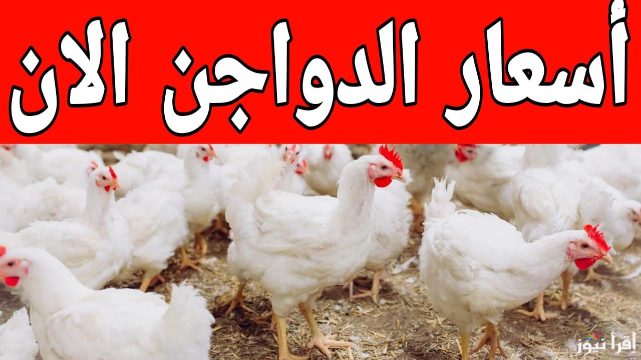 بعد التراجع الأخير.. سعر الفراخ البيضاء اليوم السبت 5 يوليو 2025 في بورصة الدواجن والأسواق