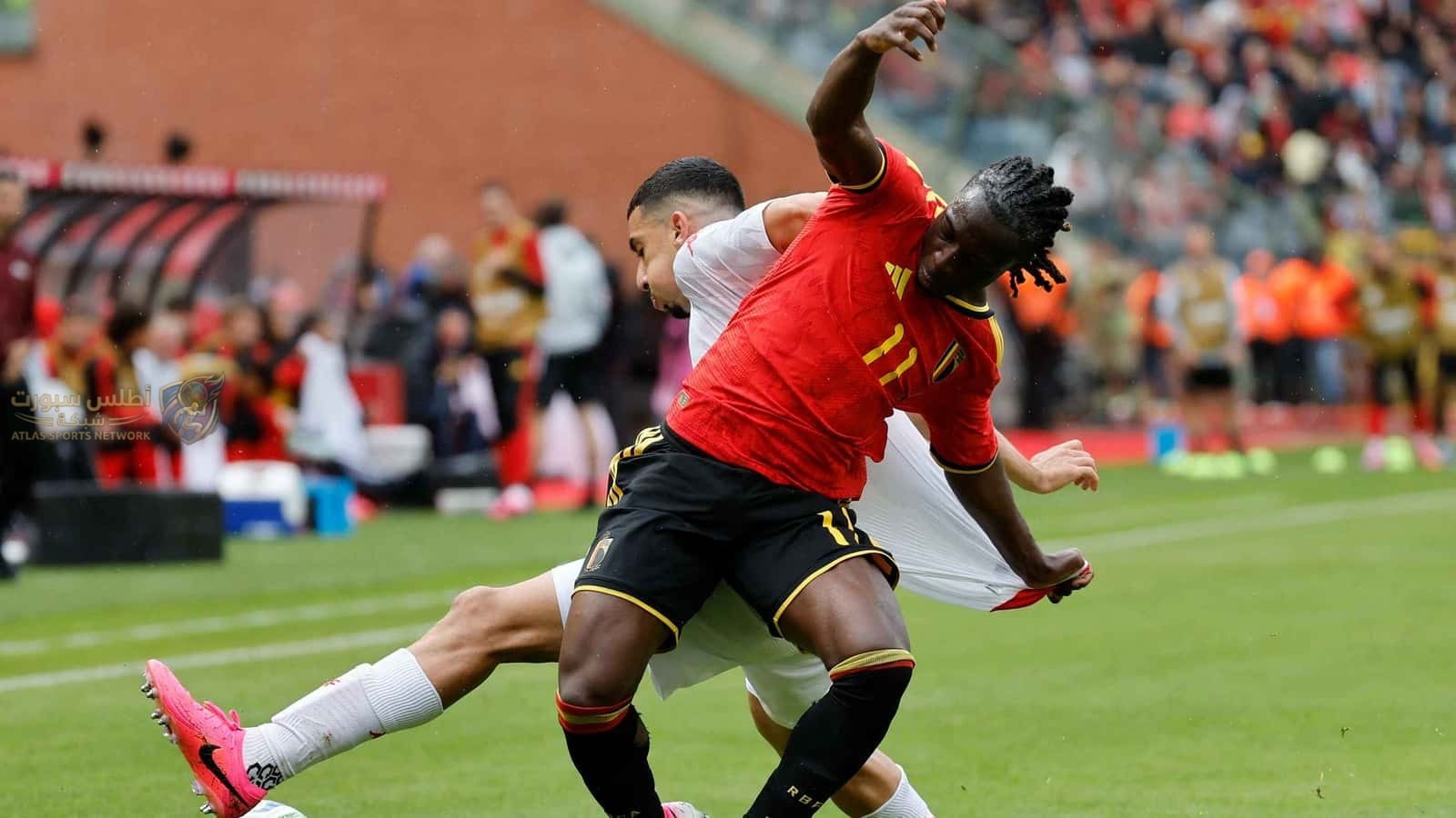 تصريحات نارية من نجم المنتخب البلجيكي قبل مواجهة مصر